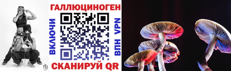 Псилоцибиновые грибы MAGIC MUSHROOMS  Бологое 